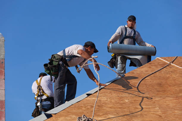 Best Roof Leak Repair  in Colonial Heights, TN