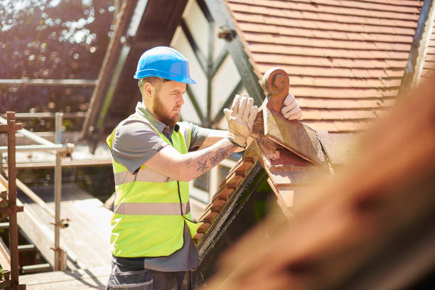 Best Roof Gutter Cleaning  in Colonial Heights, TN